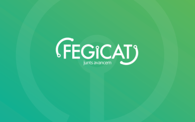 Serveis d’enginyeria de FEGICAT
