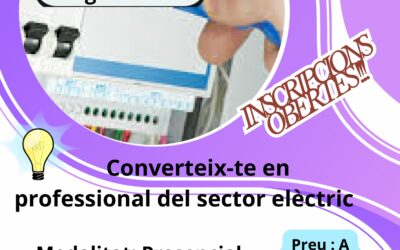 CURS TÈCNIC ELÈCTRIC DE BAIXA TENSIÓ 200 H.