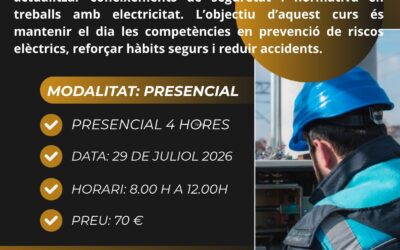 Curs PRL d’Electricitat – 4 hores